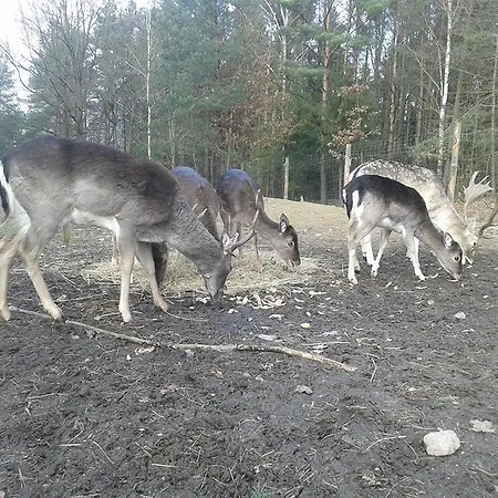 Agroturystyka * Ostrzyce